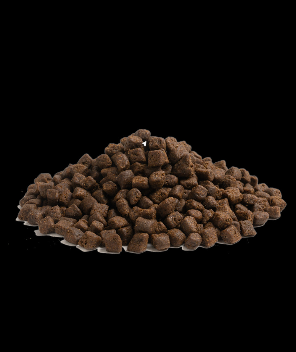 Can Dry Dog Food Go Bad?