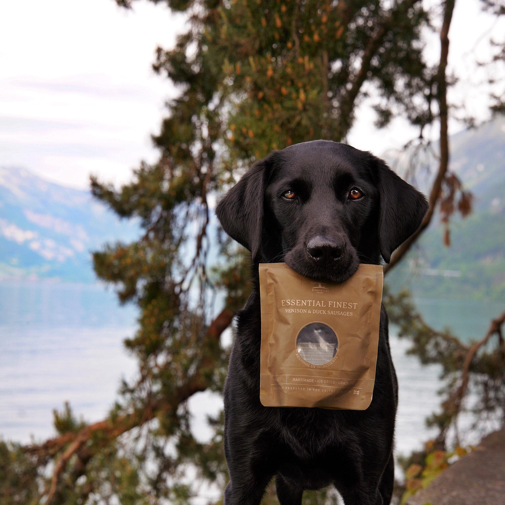 Finest Venison and duck sausages x @junior_the_copenhagen_lab