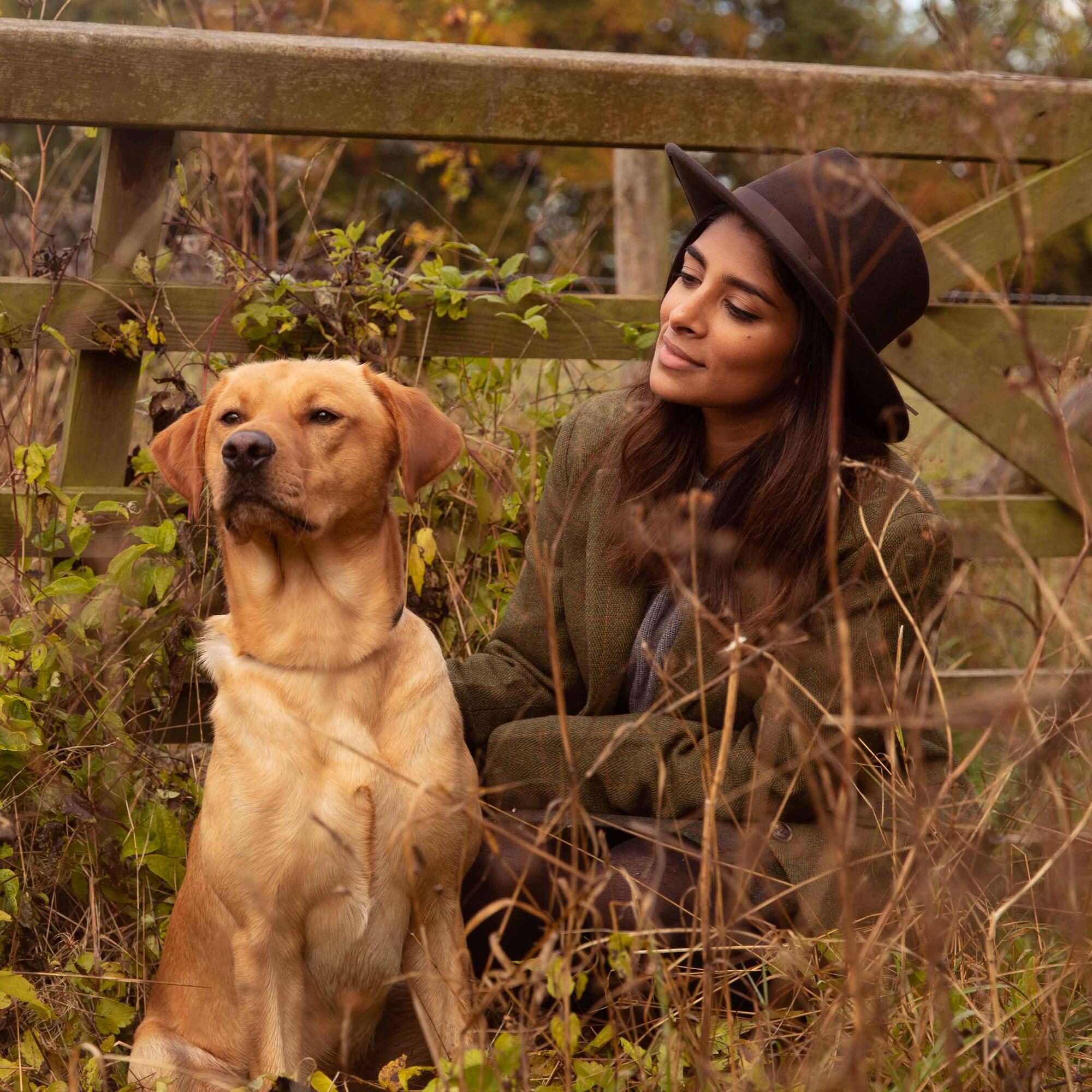 what's a dog's favorite food?