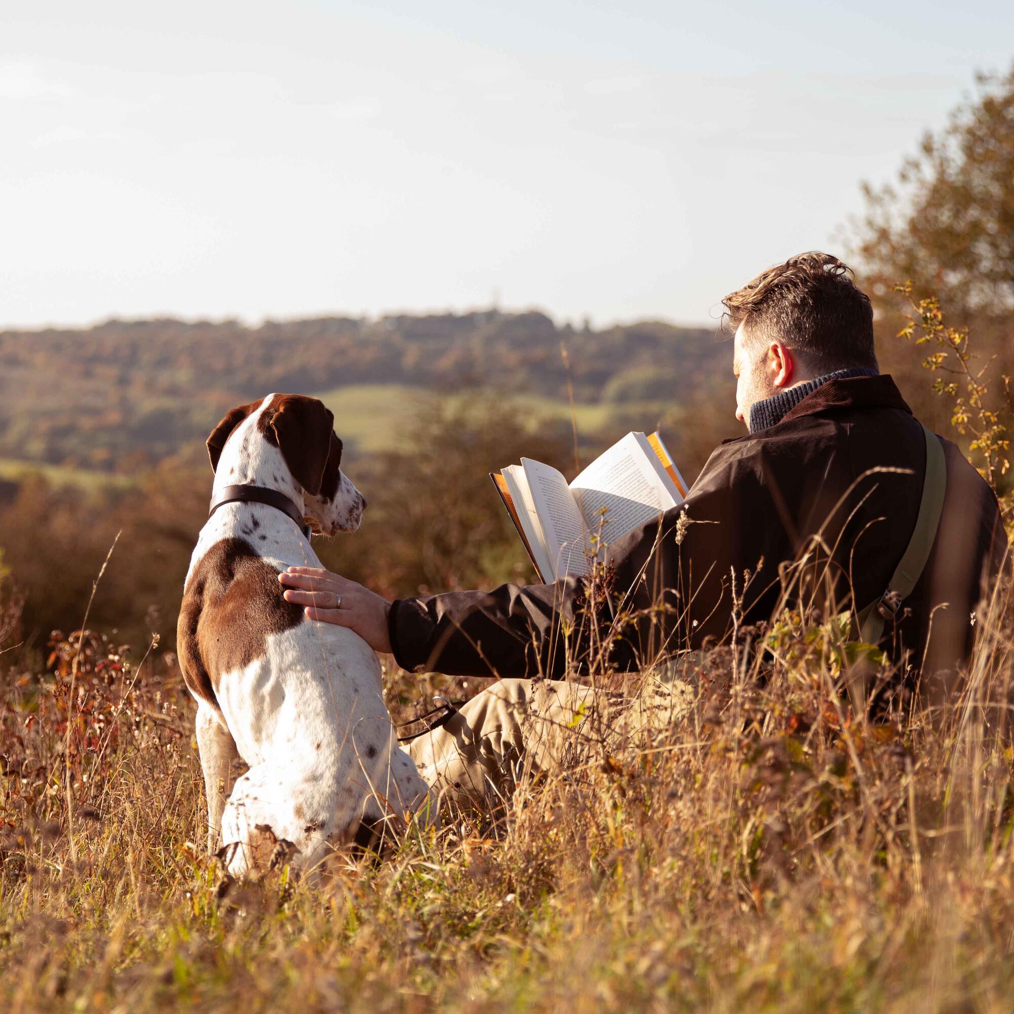 what food is good for a sick dog?