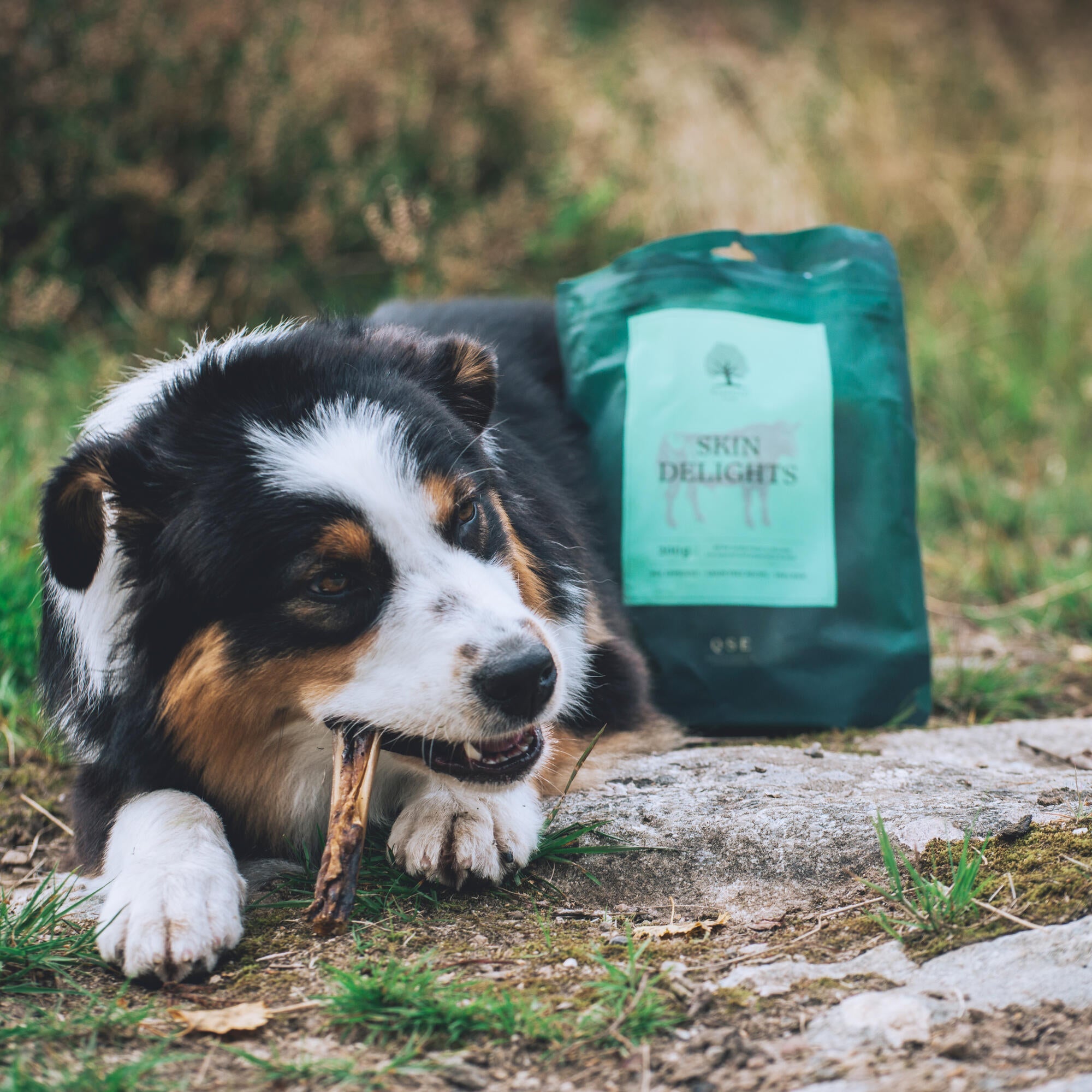 Puppy with food bowl — Is feeding a puppy once a day enough? | Essentialfoods.ie