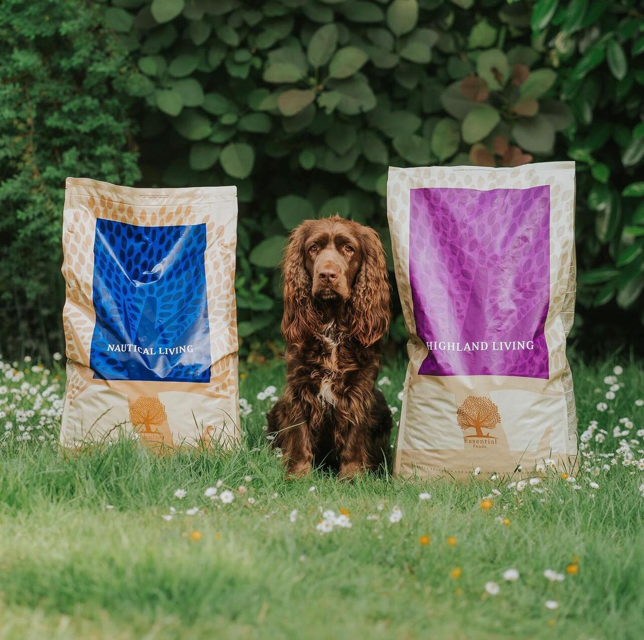 dilly og daisy_dillys favorutes