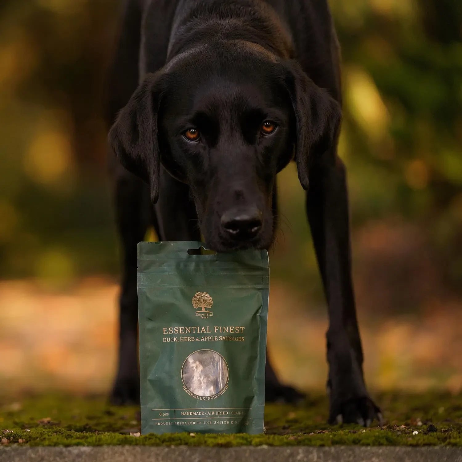 @junior_the_copenhagen_lab