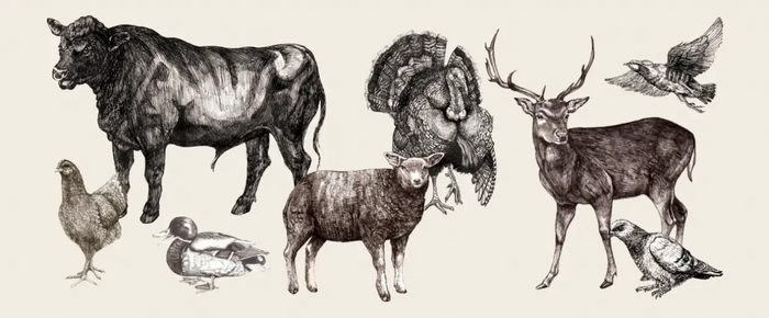 Lots of meat in the meal