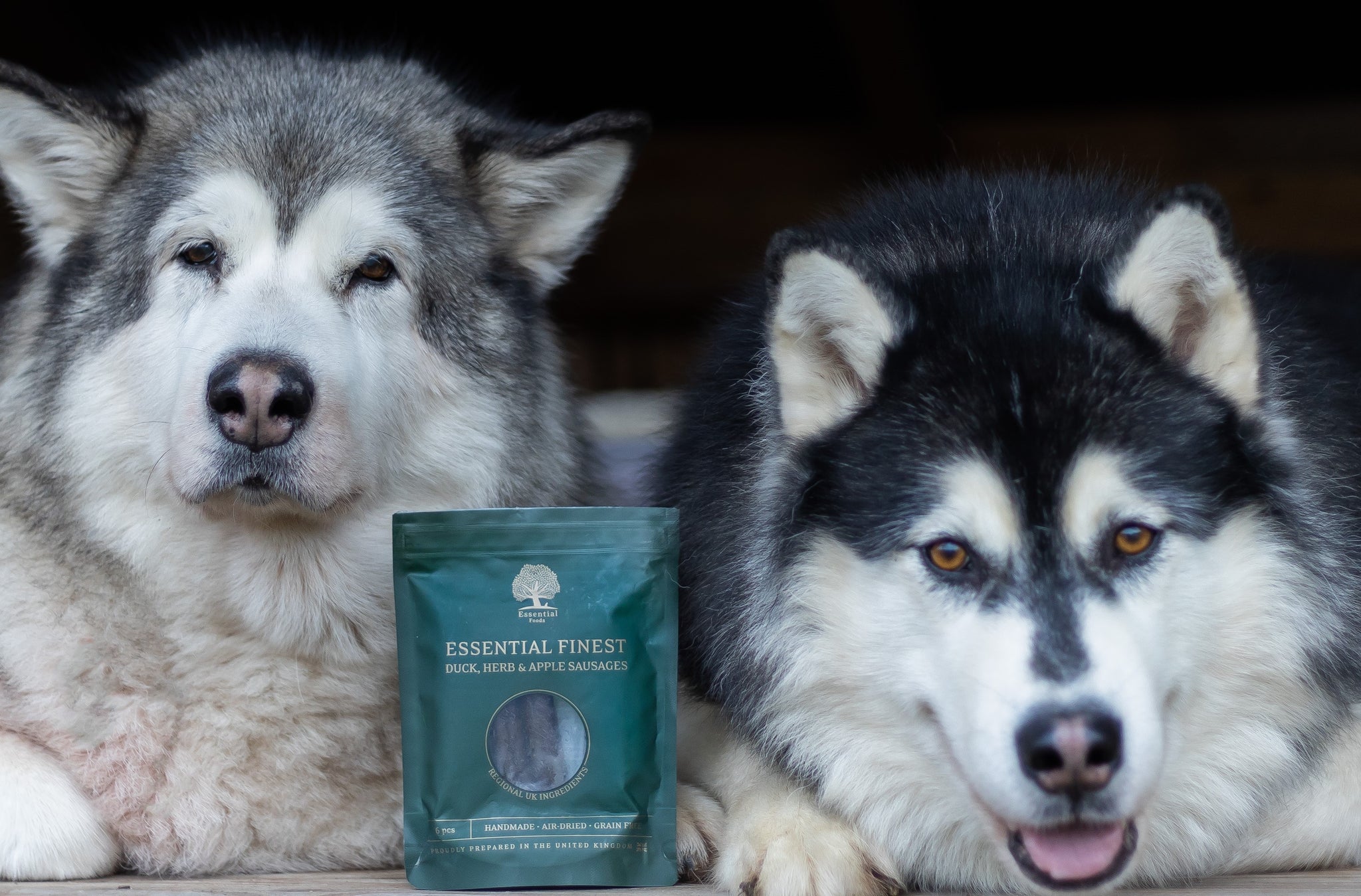Malamute Dogs enjoying Essentials Dog Treats