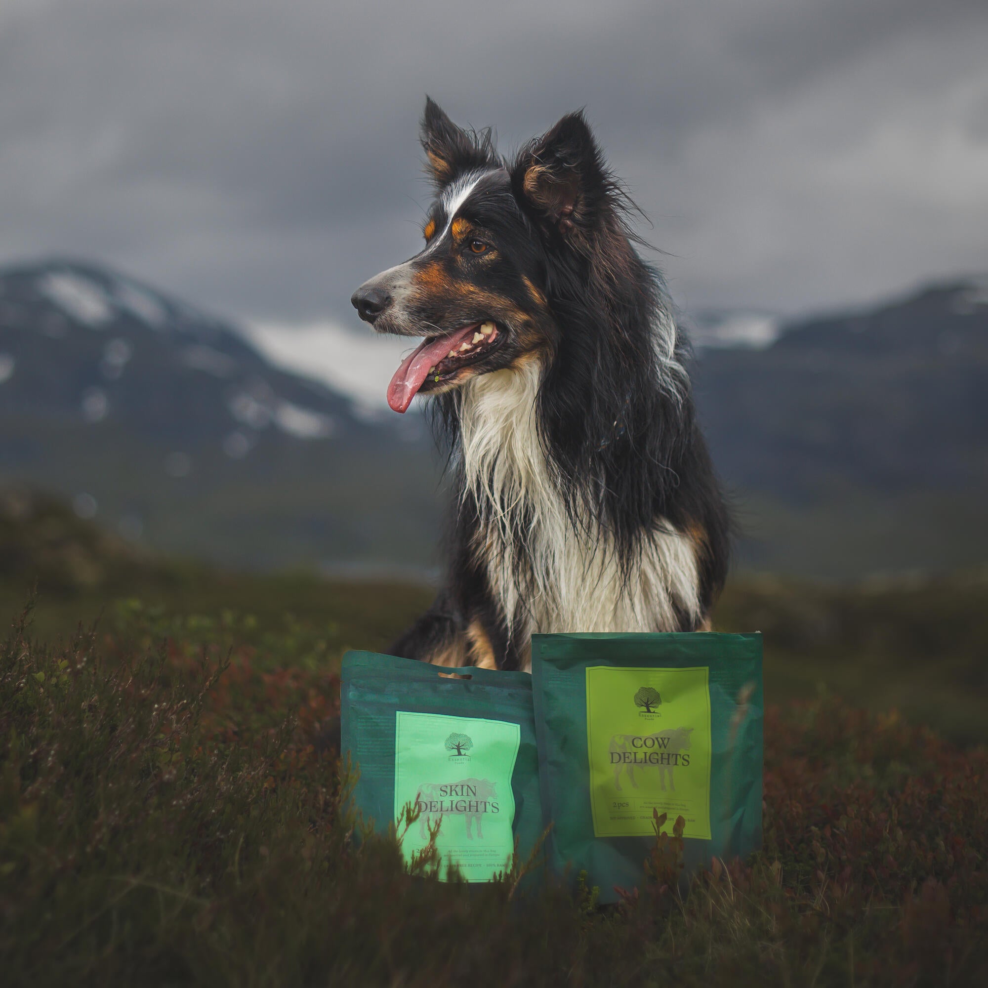 @nordictail