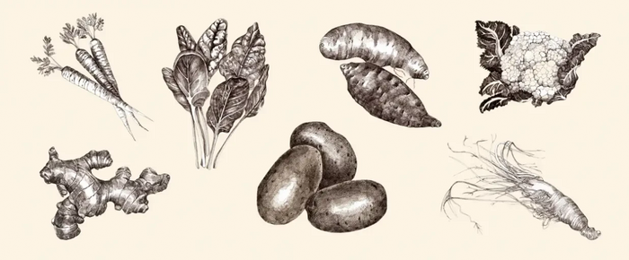 Vegetables and root vegetables in the meal