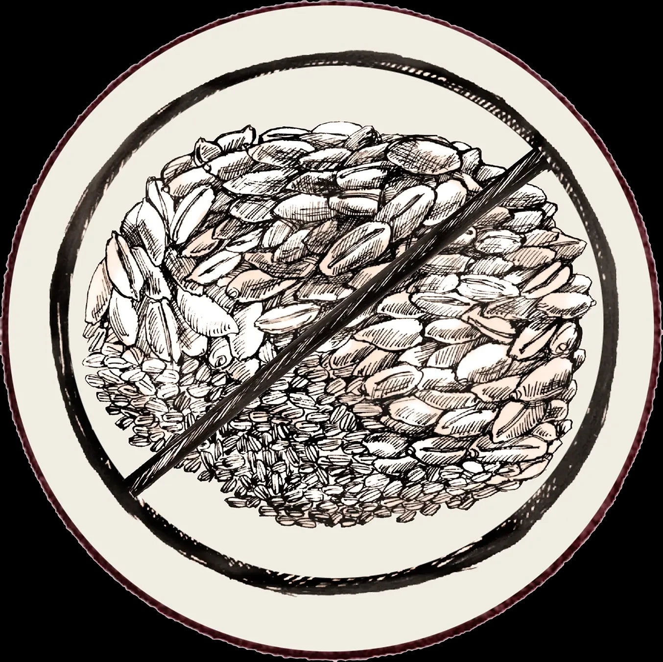 Why Grain Free Dog Food is Better | Best Grain Free Dog Food in Ireland