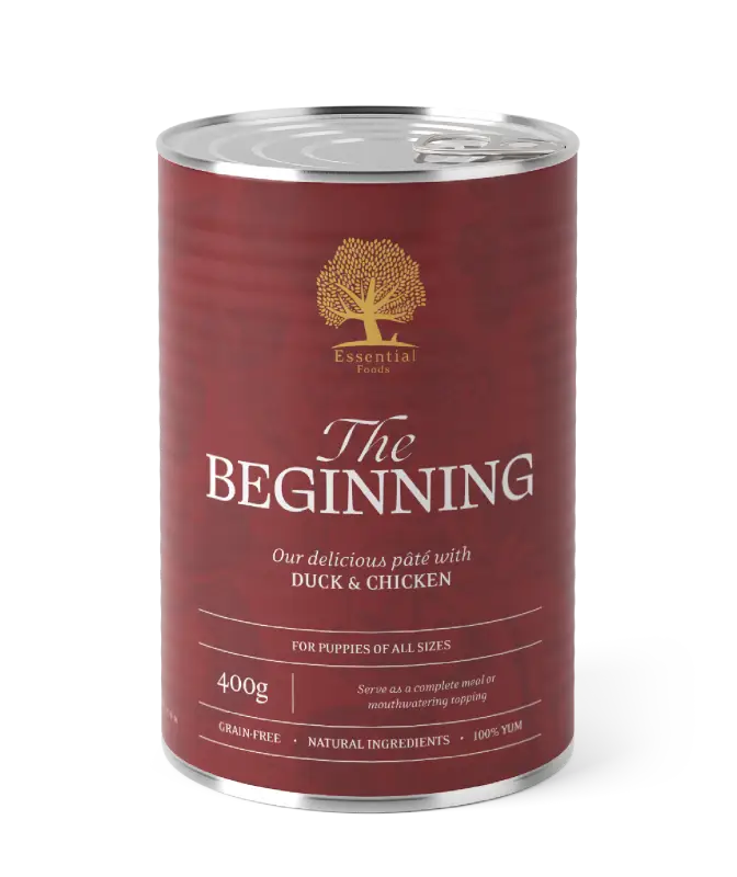 ESSENTIAL THE BEGINNING PÂTÉ 400G - Dog food