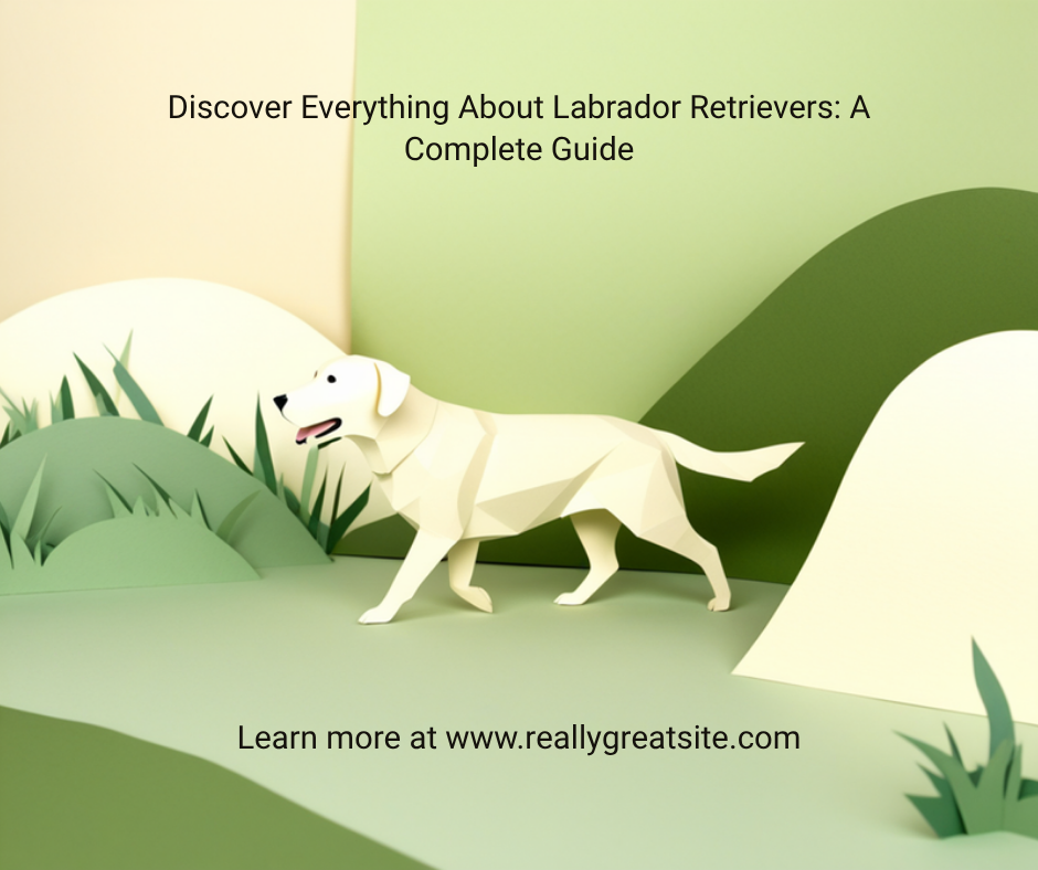 Best dog food for Labradors - EssentialFoods Ireland