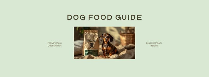 Miniature dachshund dog food guide — EssentialFoods Ireland