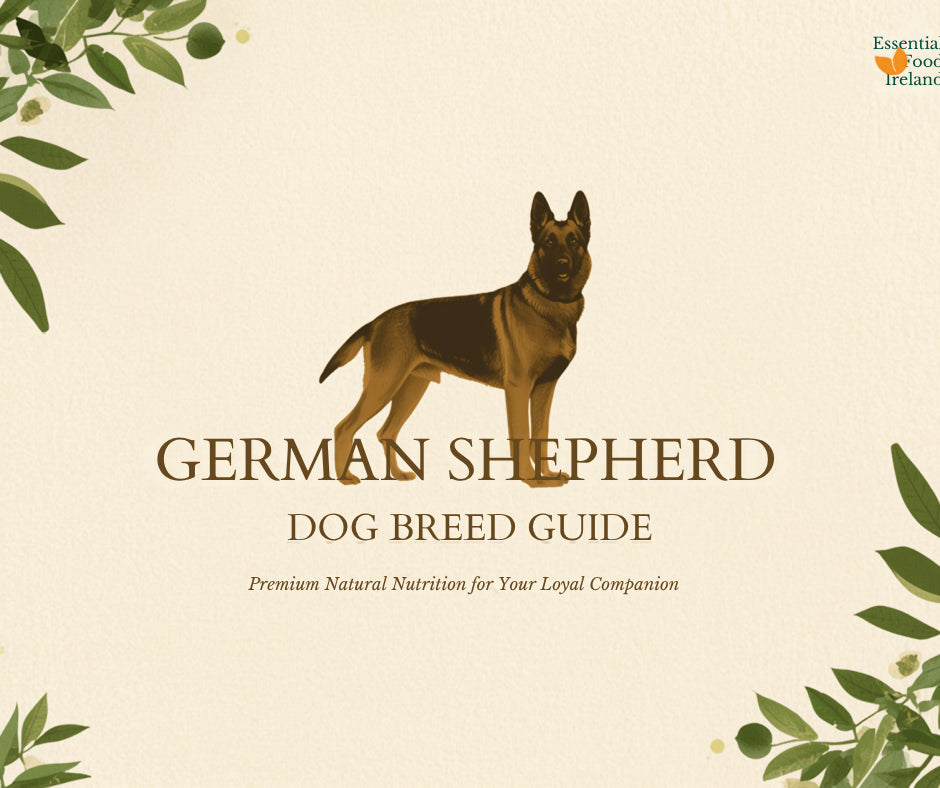 Best dog food for German Shepherds - EssentialFoods Ireland
