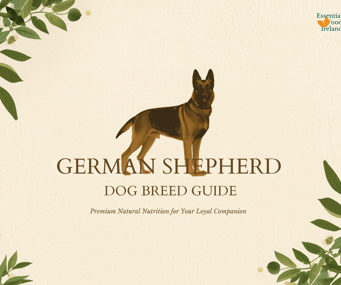 Best dog food for German Shepherds - EssentialFoods Ireland