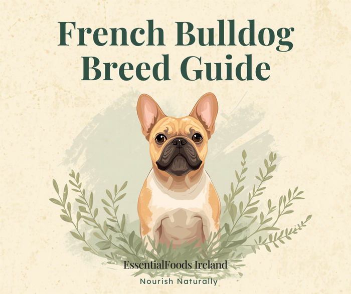 Best dog food for French Bulldogs - EssentialFoods Ireland