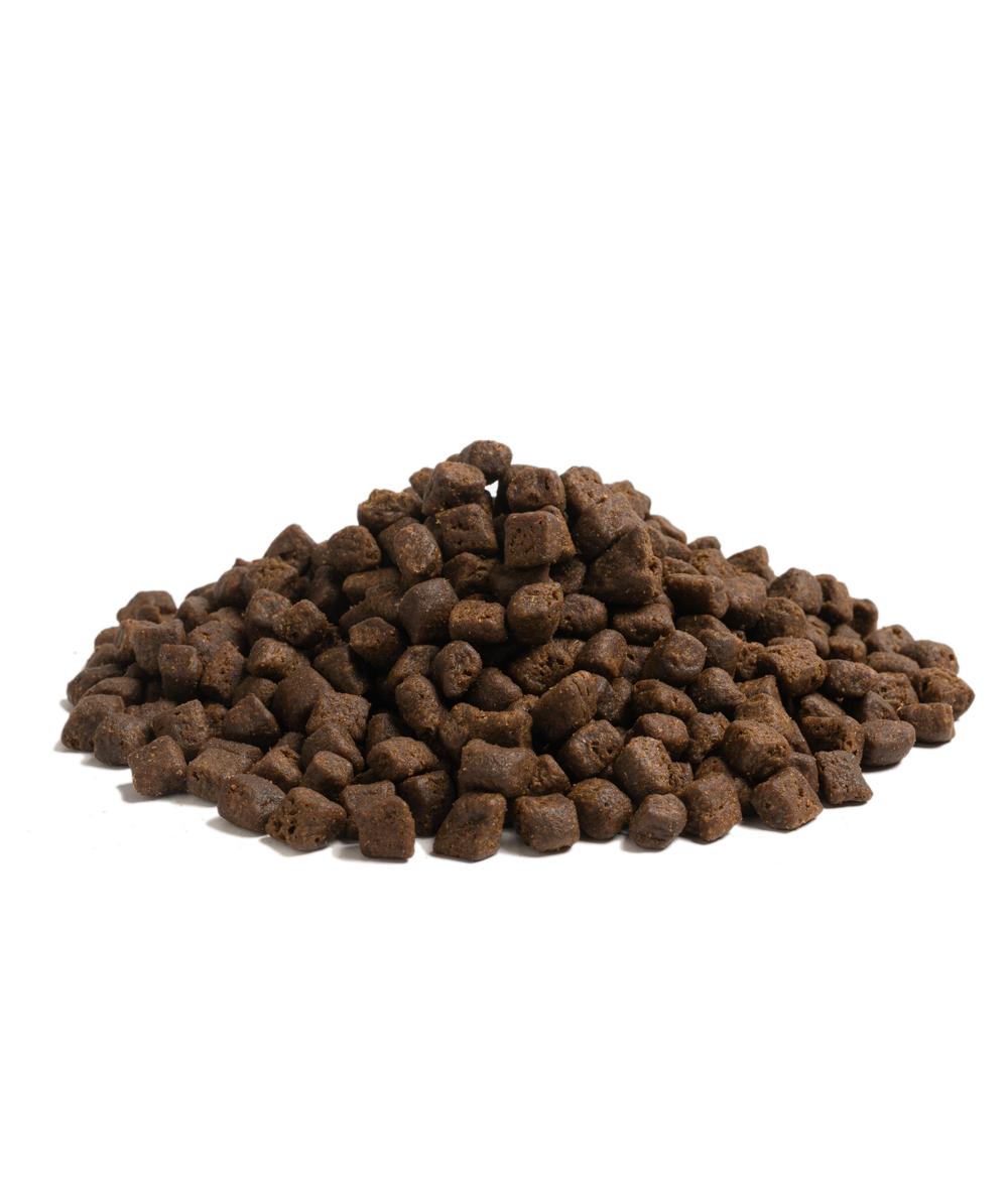 Can Dry Dog Food Go Bad?