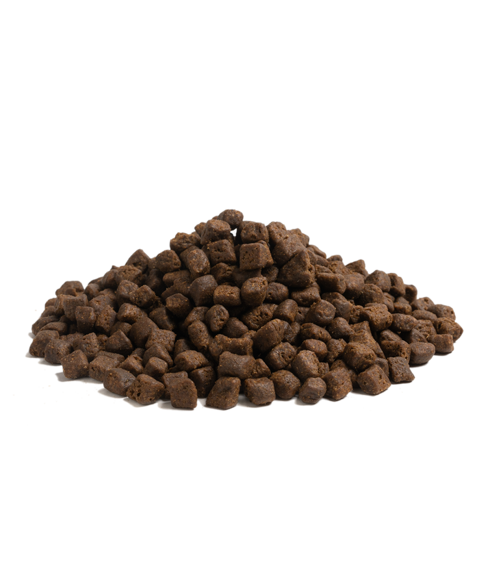 Can Dry Dog Food Go Bad?