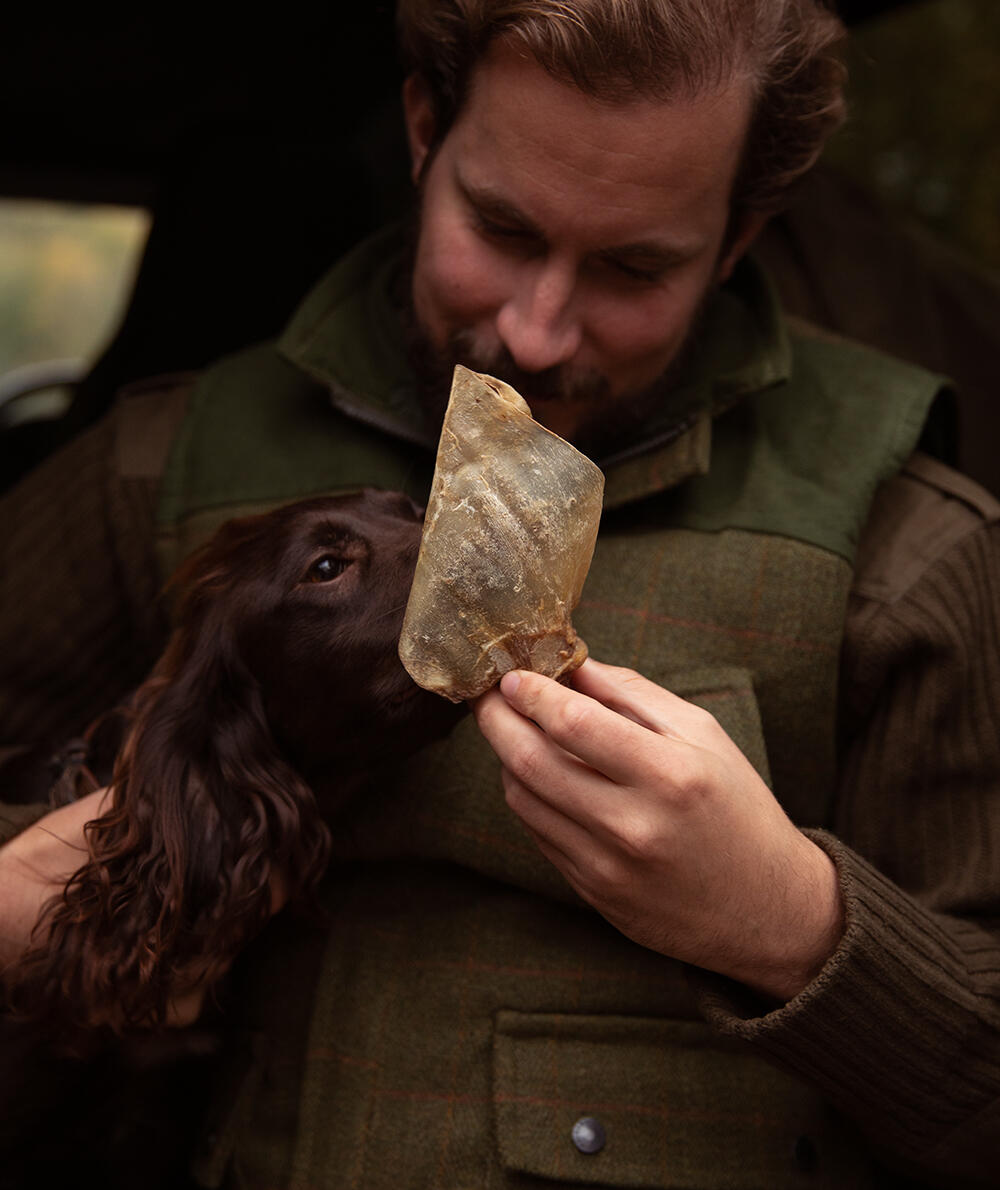 What foods help settle a dog's stomach?