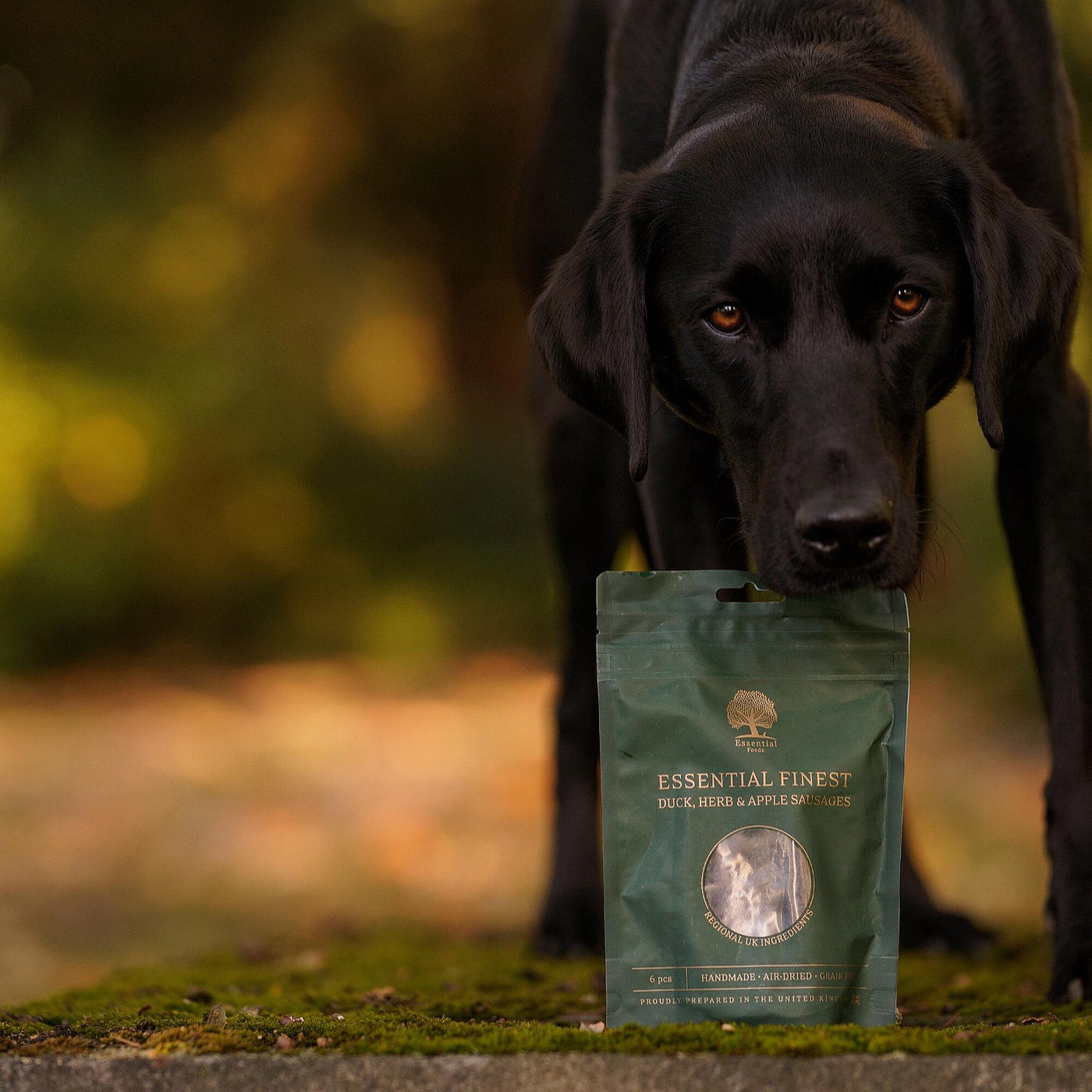 How much meat should a 20kg dog eat a day? Essentialfoods.ie