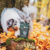 @life.of.bruce.the.aussie