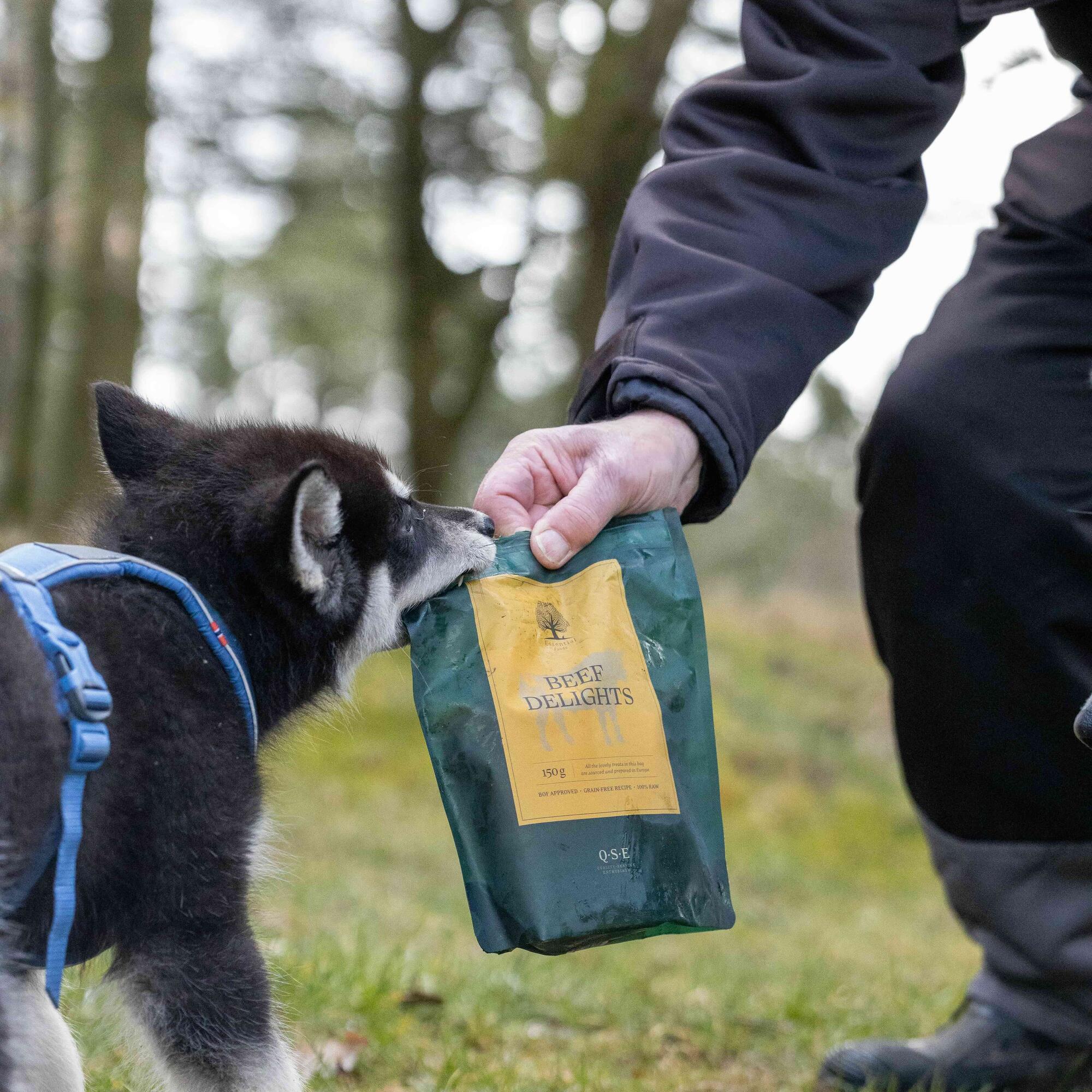 Beef Delights @nordicmalamutes 