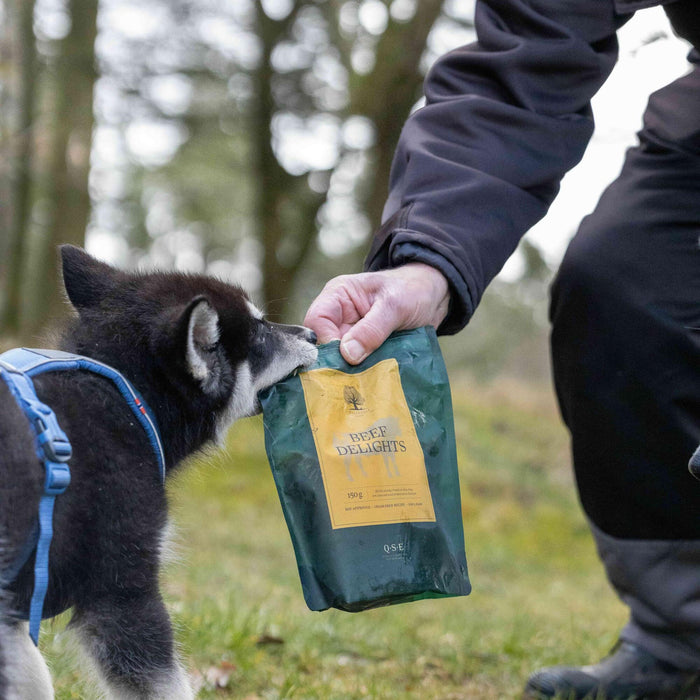 Beef Delights @nordicmalamutes 