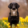 Easter x Finest @junior_the_copenhagen_lab