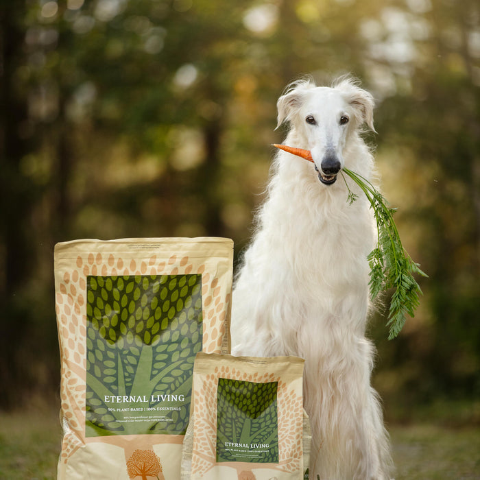 Eternal1 @zarwoe.oligarch