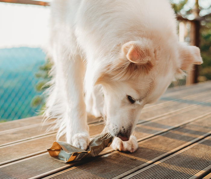 Finest 4 from @wanderpawsjournal