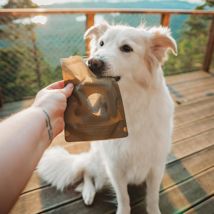 Finest 7 from @wanderpawsjournal