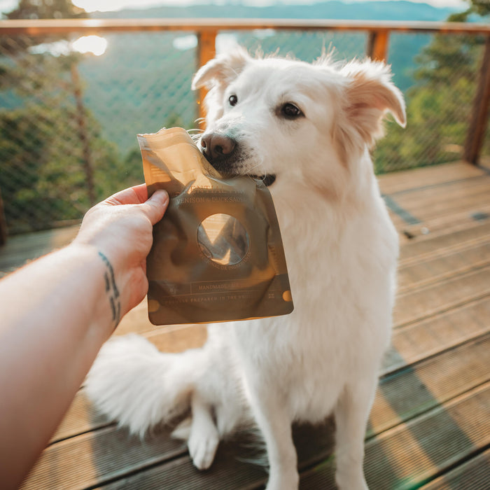 Finest 7 from @wanderpawsjournal