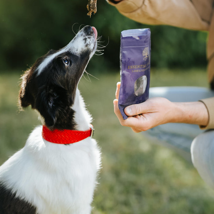 Finest Lamb and Venison Bar  @whippetvilja