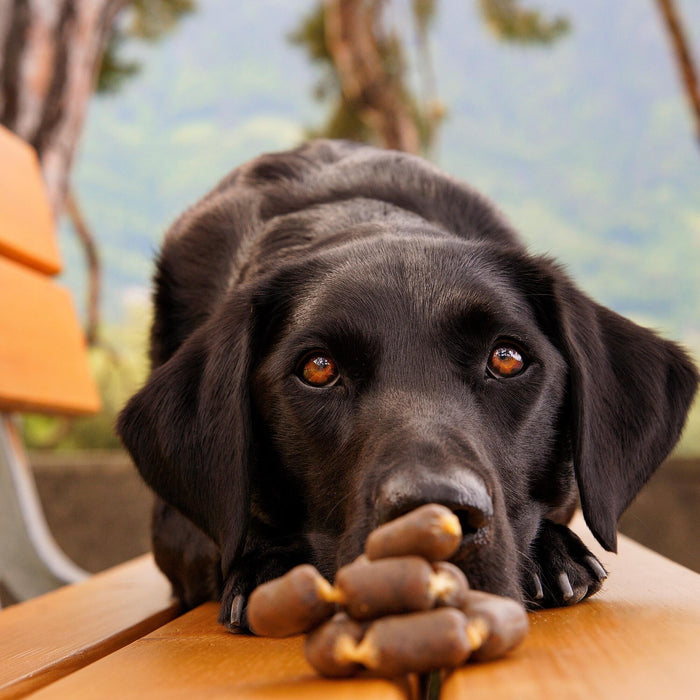 Finest Salmon sausages @junior_the_copenhagen_lab