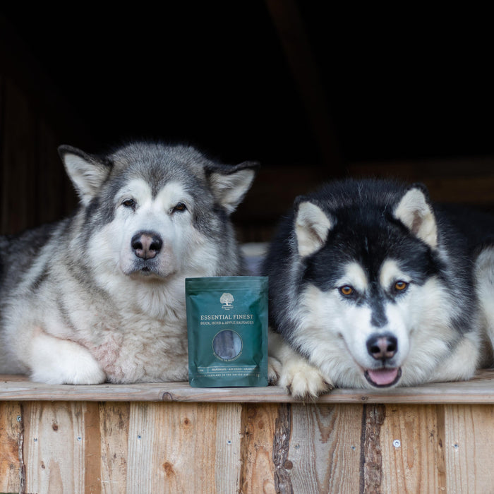 Finest __ @nordicmalamutes