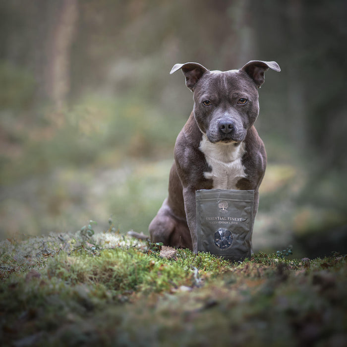 Finest @junior.blueboy