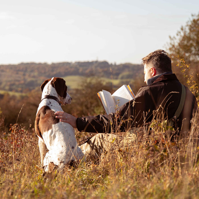 what food is good for a sick dog?