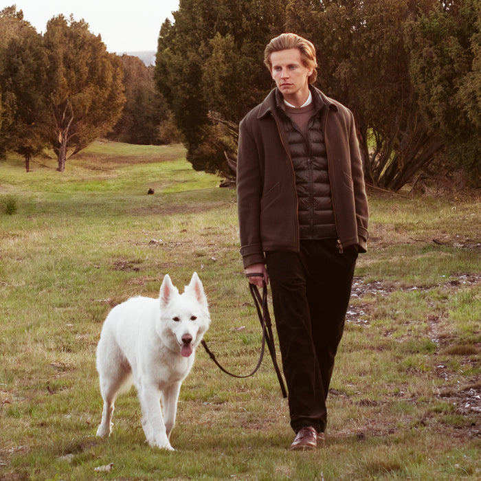 Man walking his dog, Essential Dog Food