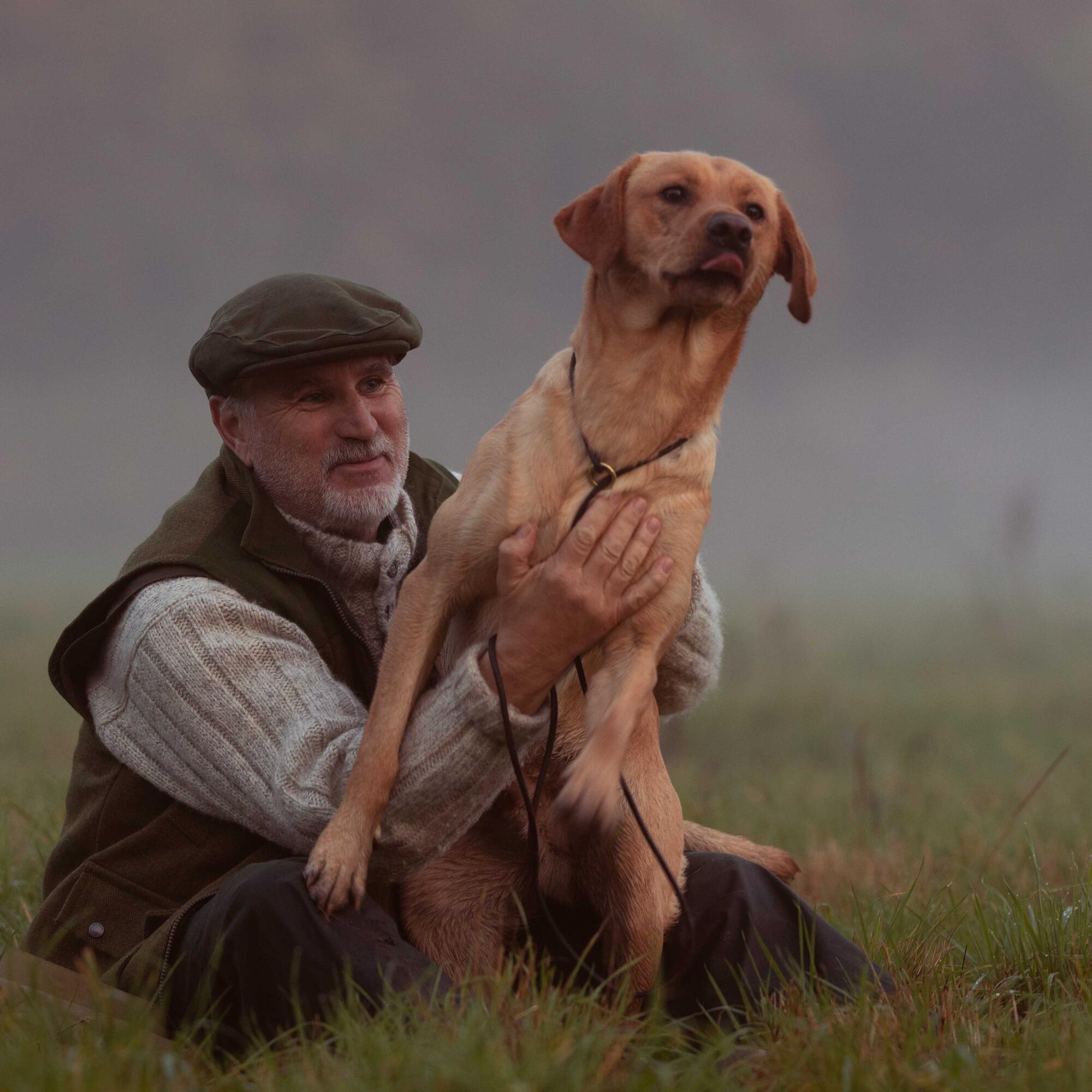 Older Labrador looking forward to eating his essentials senior dog food