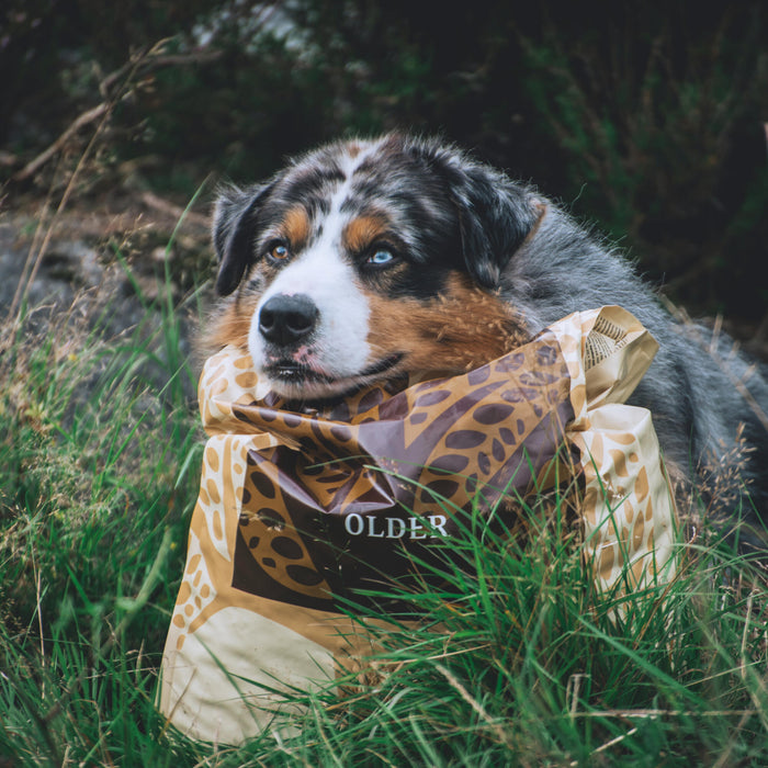 Older from @blueshade_aussies