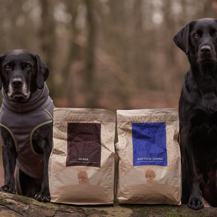 Older_nautical @junior_the_copenhagen_lab