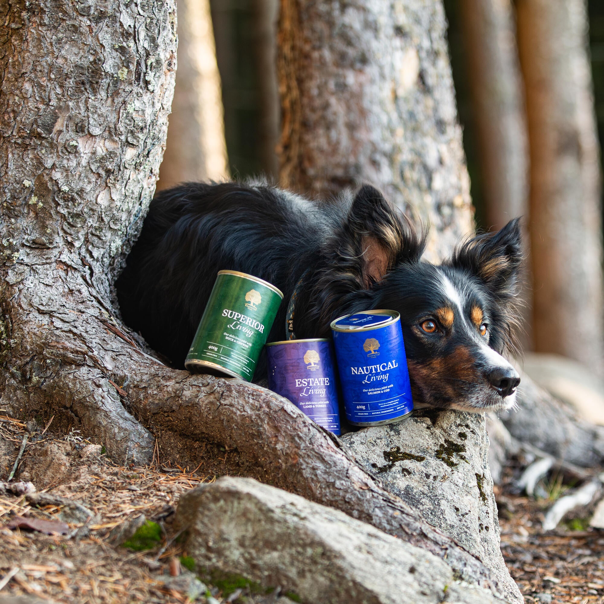 Pate from @nordictail (1)