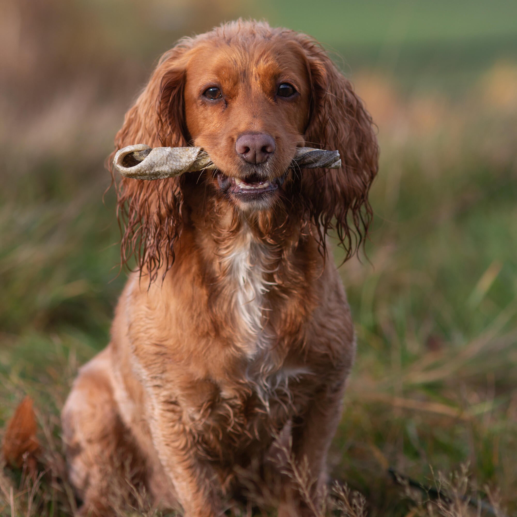 @theyorkshiredalesduo