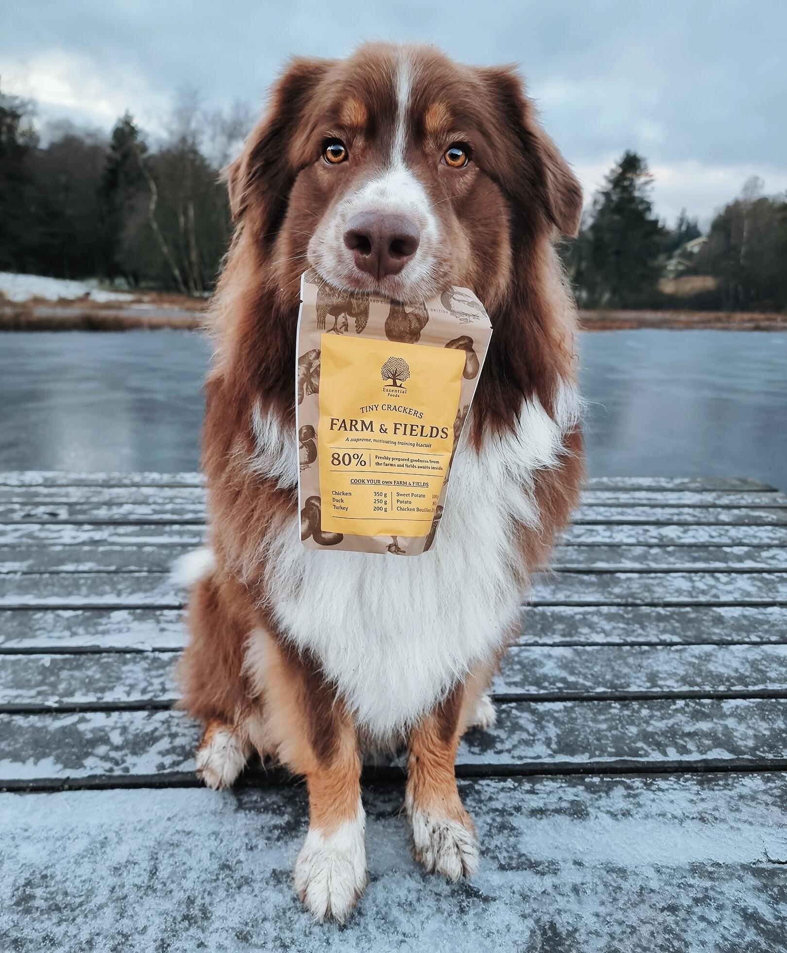 Photo 14 @gloi.theaussie