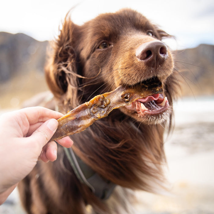 Rabbit Delights @thenordicbears