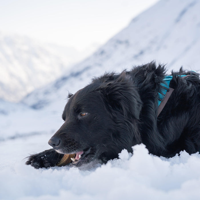 Skin Delights @thenordicbears (1)