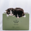 The Little Lion Cat from @nike.nilsson