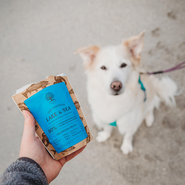 Tiny Crackers 2 from @wanderpawsjournal