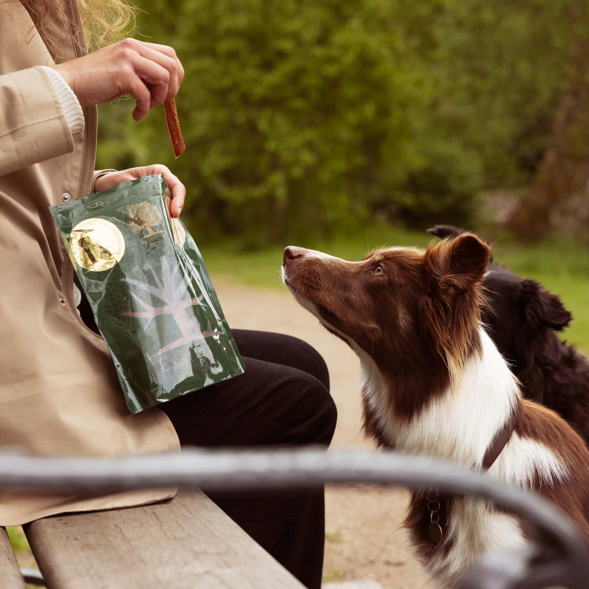 WOMEN FEEDING HER DOGDS ESSENTIALS TURKEY DELIGHTS DOG TREATS