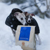 Winter x Nautical x @lupin_the_whippet