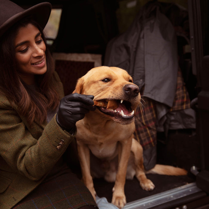 women feeding Essential foods treat to Labrador