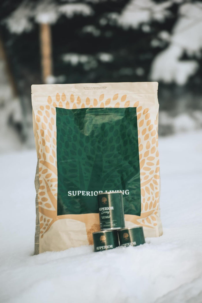 @blueshade_aussies.JPG
